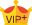 VIP_PLUS会员