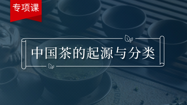 中国茶的起源与分类